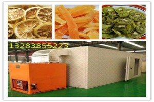 風(fēng)刀式烘干機(jī) 果蔬烘干領(lǐng)域的專業(yè)市場新勢力