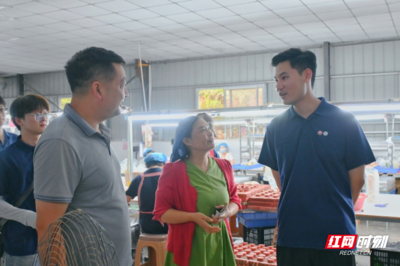 合拍的00后·三下鄉(xiāng) | 巖園村的“玩具經(jīng)緯” 一針一線，織就鄉(xiāng)村振興的溫暖圖景